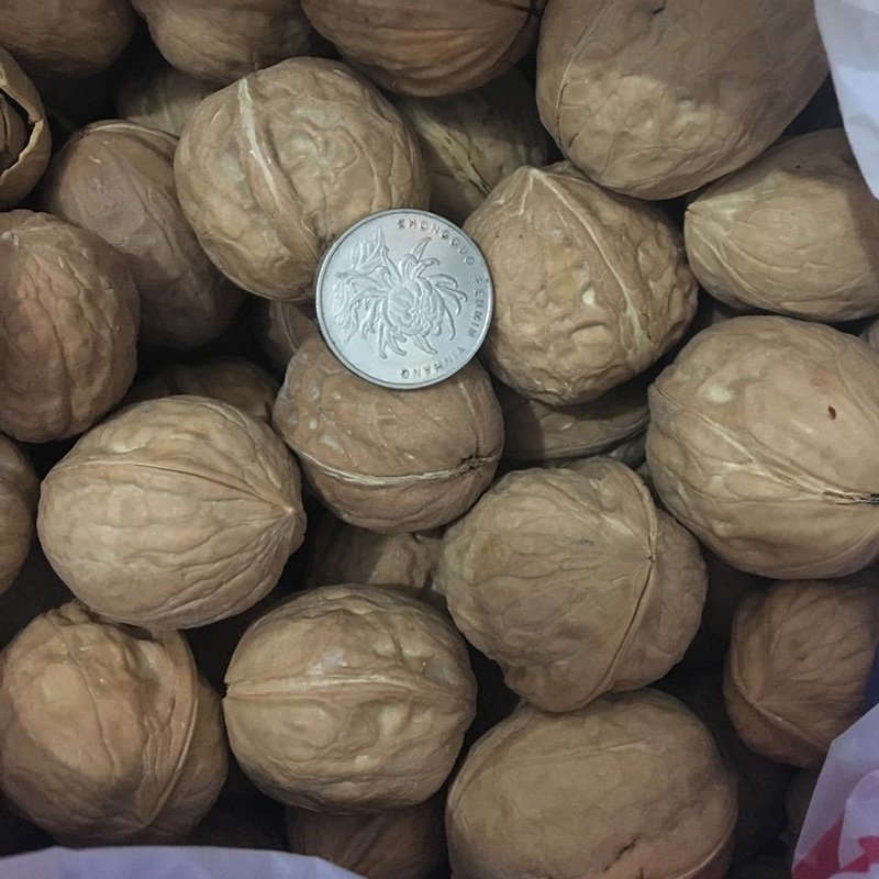 新疆薄皮核桃核桃2020年全新货一件代发全国发