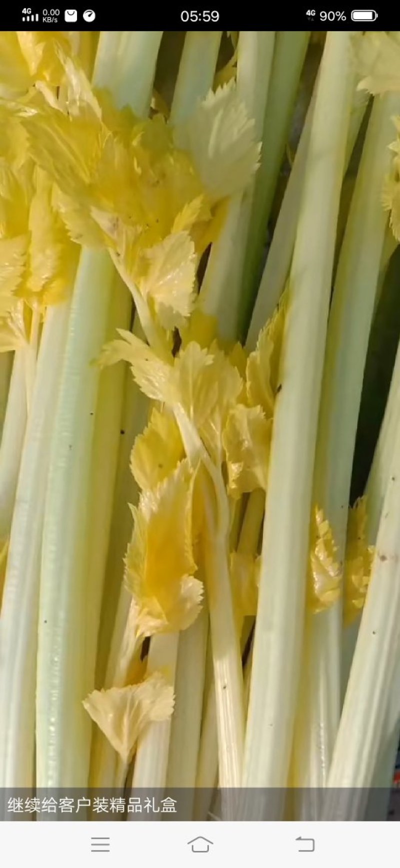 芹菜