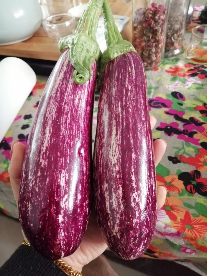 瑞克斯旺进口安吉拉花特菜（花茄子超市档口直供全国发