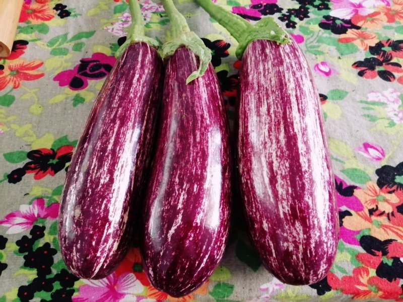 瑞克斯旺进口安吉拉花特菜（花茄子超市档口直供全国发