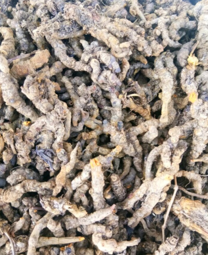 黄连四川无硫鸡爪~单枝~黄连片农产品