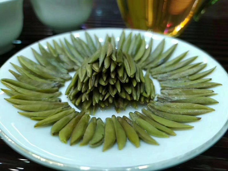 福鼎白茶银针