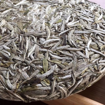 福鼎白茶银针