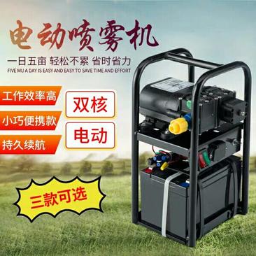 农用高压小型锂电池手提式电动喷雾器新式双泵充电打药智能喷