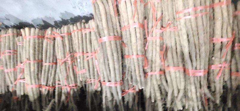 各种山药大量上市！