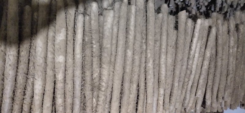 各种山药大量上市！