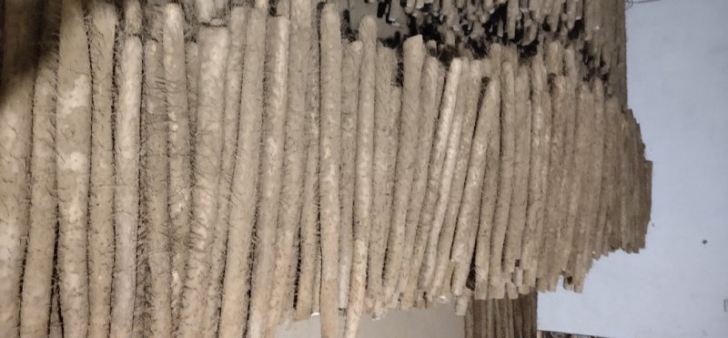 各种山药大量上市！