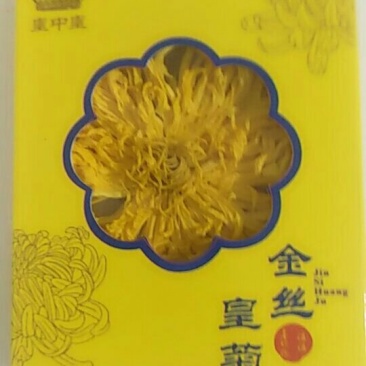 金丝黄菊