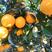 赣南脐橙橙子代办代发大量上市产地直发欢迎咨询采购
