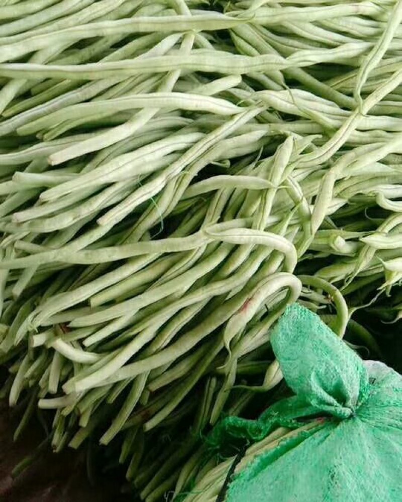 精品芸豆产地直销代收代发