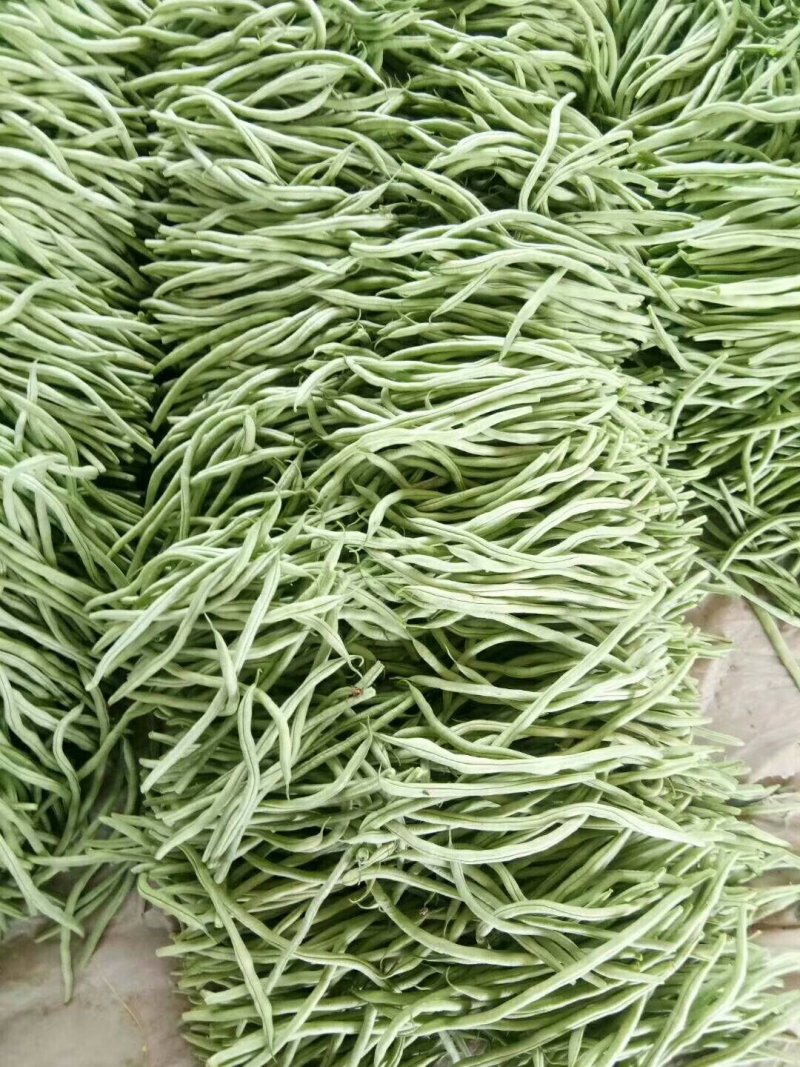 精品芸豆产地直销代收代发