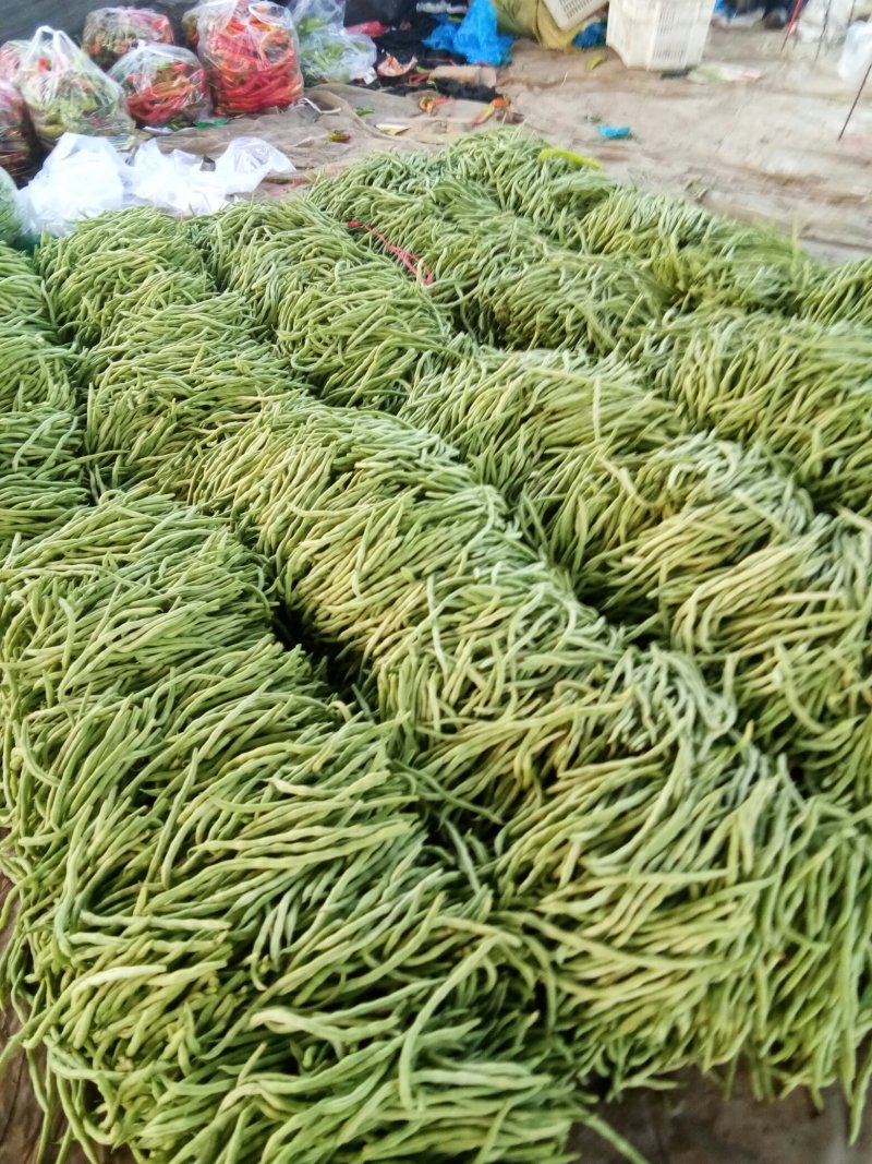 精品芸豆产地直销代收代发