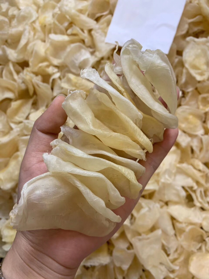 鸡蛋胶鱼胶缅甸花胶精品货花胶蝴蝶胶孕妇滋补品
