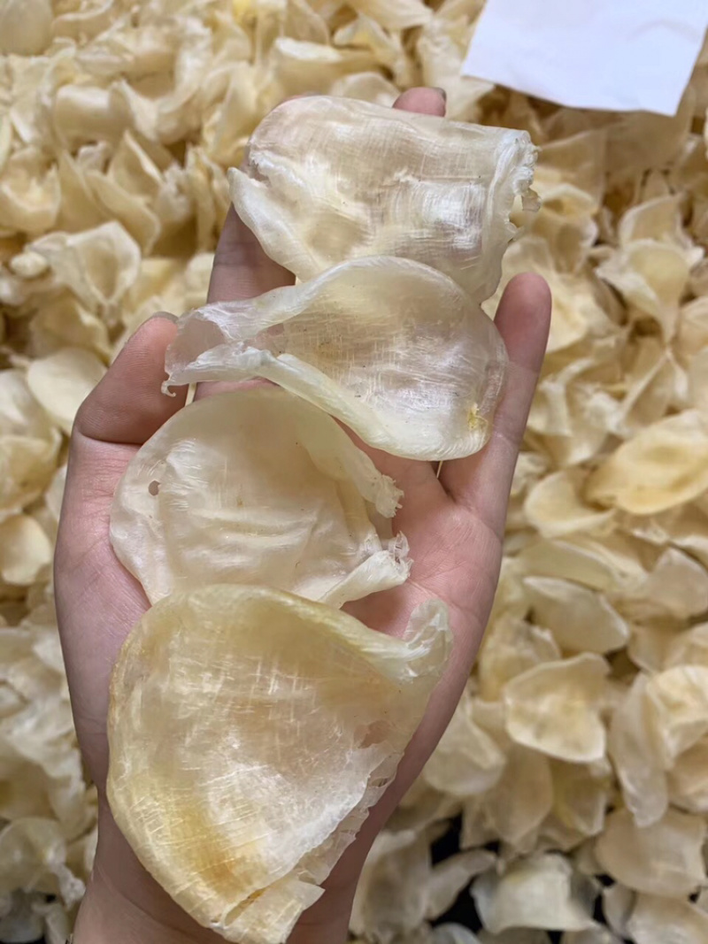鸡蛋胶鱼胶缅甸花胶精品货花胶蝴蝶胶孕妇滋补品