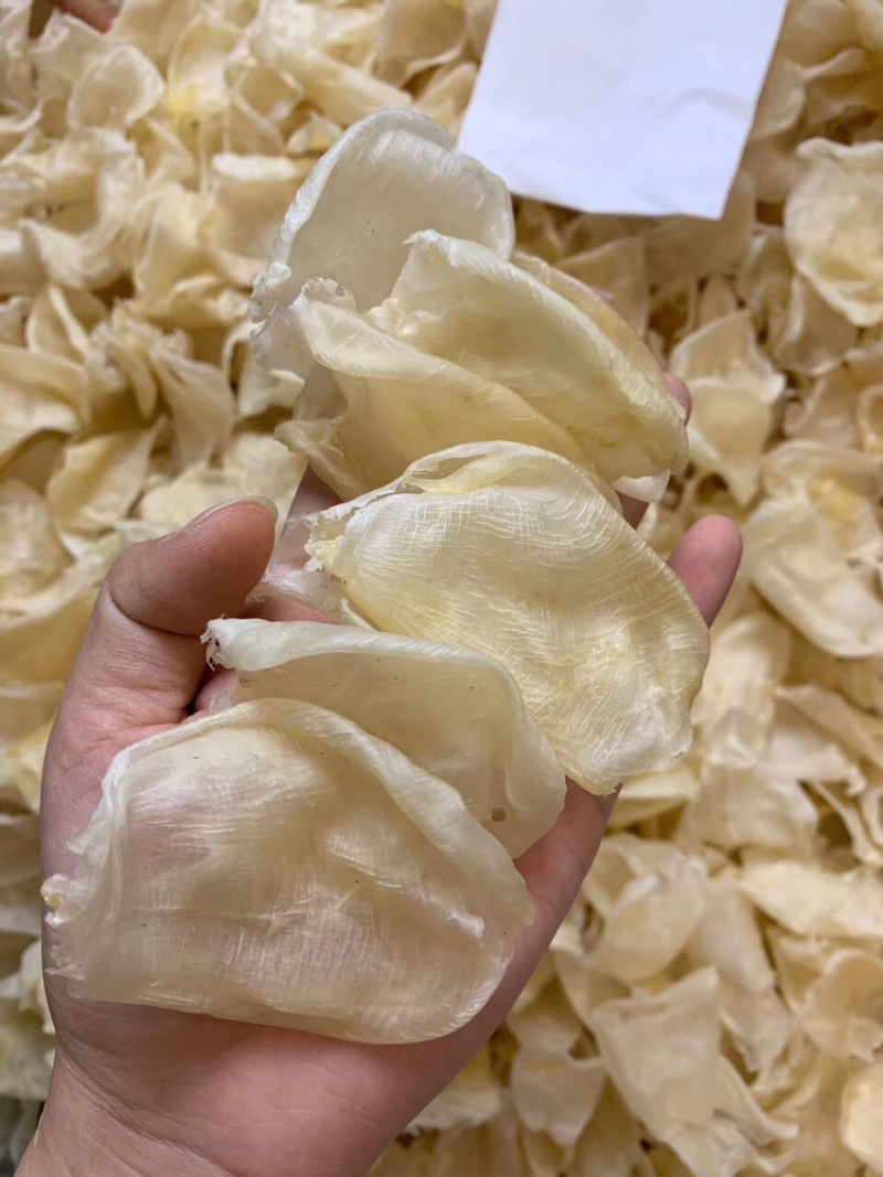 鸡蛋胶鱼胶缅甸花胶精品货花胶蝴蝶胶孕妇滋补品