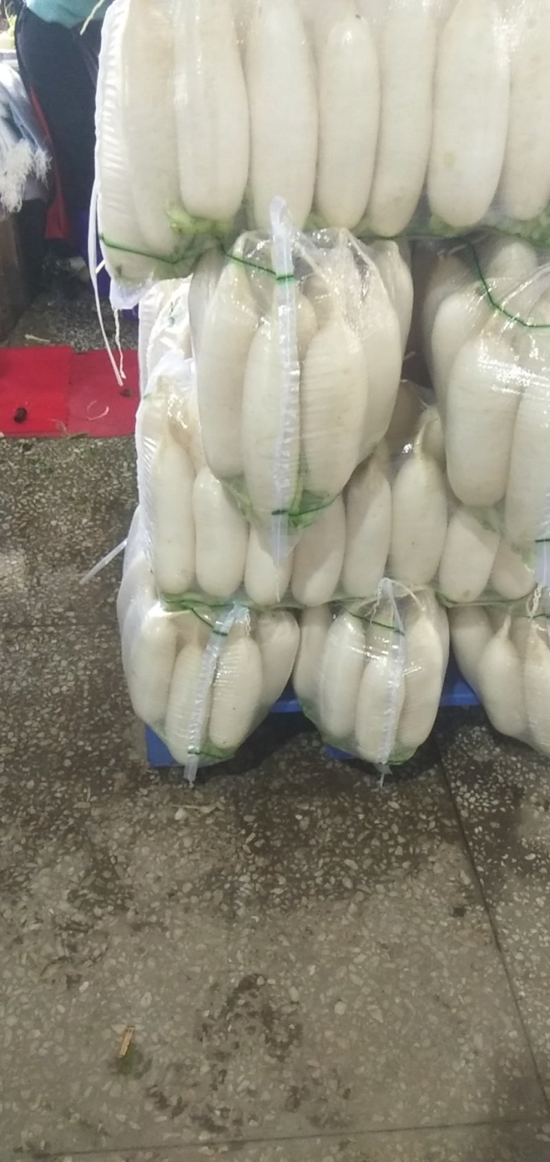 沙洋三排四排精品白萝卜质量优价格合理供应充足可发全国