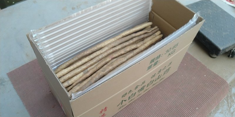 小白嘴区里扁