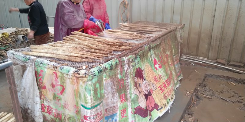 小白嘴区里扁