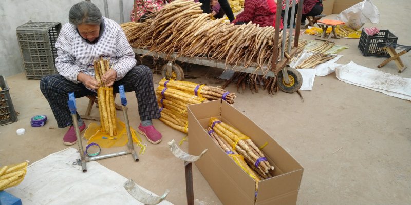小白嘴区里扁
