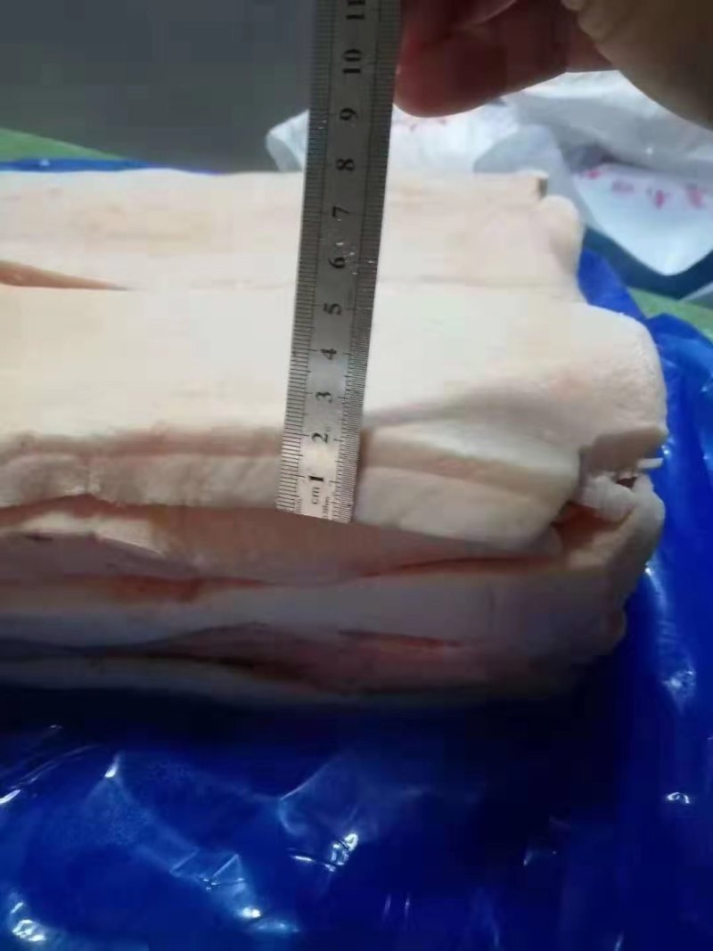 进口箱装脊膘板油大量有货