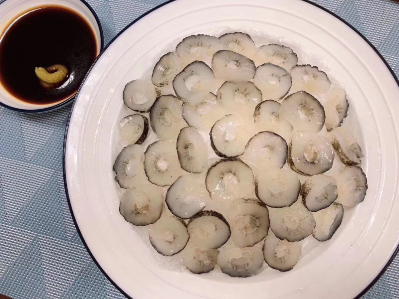 明秃参海参明秃参秃澳洲秃参沙秃海参天然淡干足干滋补食