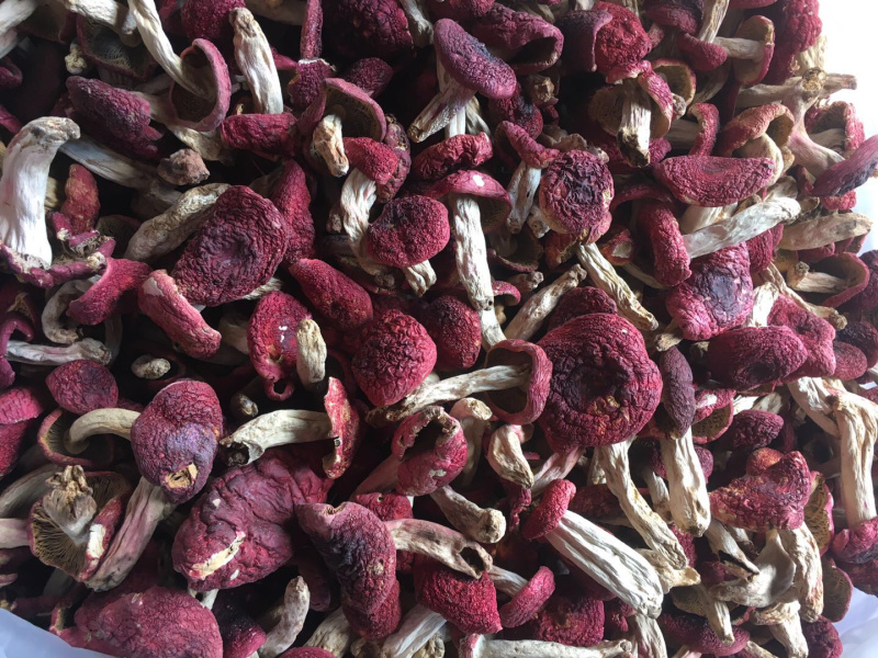 干的红菇标菇平开小菇都有货食用菌子需要联系