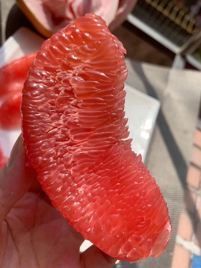 三红蜜柚苗2年苗精品三红蜜柚苗