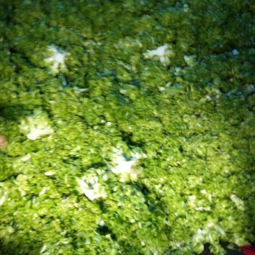 儿菜