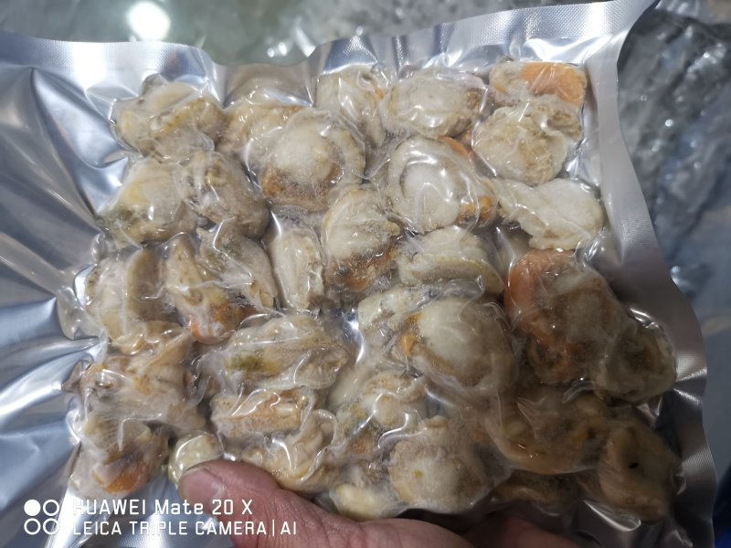 冷冻扇贝肉，带黄扇贝肉，质量请看图，