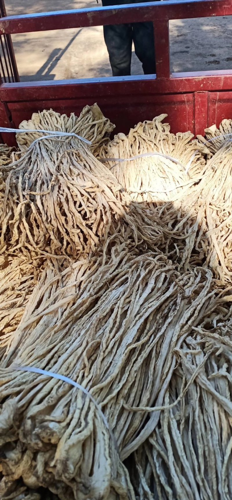 绥中精品萝卜条，货源充足价格美丽，马上大量上市，需要的来