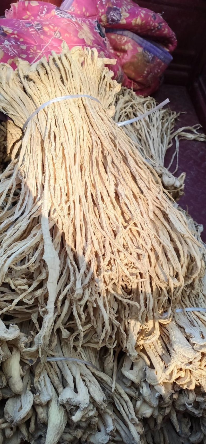 绥中精品萝卜条，货源充足价格美丽，马上大量上市，需要的来