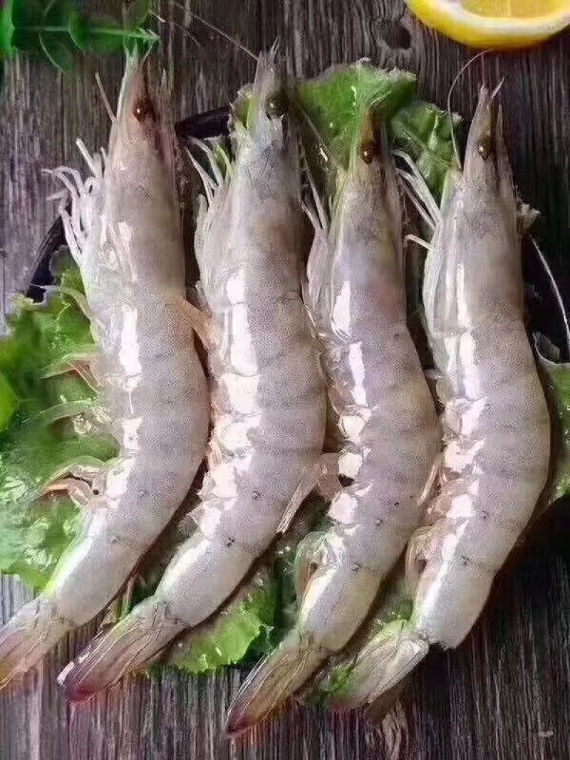 南美白对虾，盐冻虾，每件净重19.8一件6盒，
