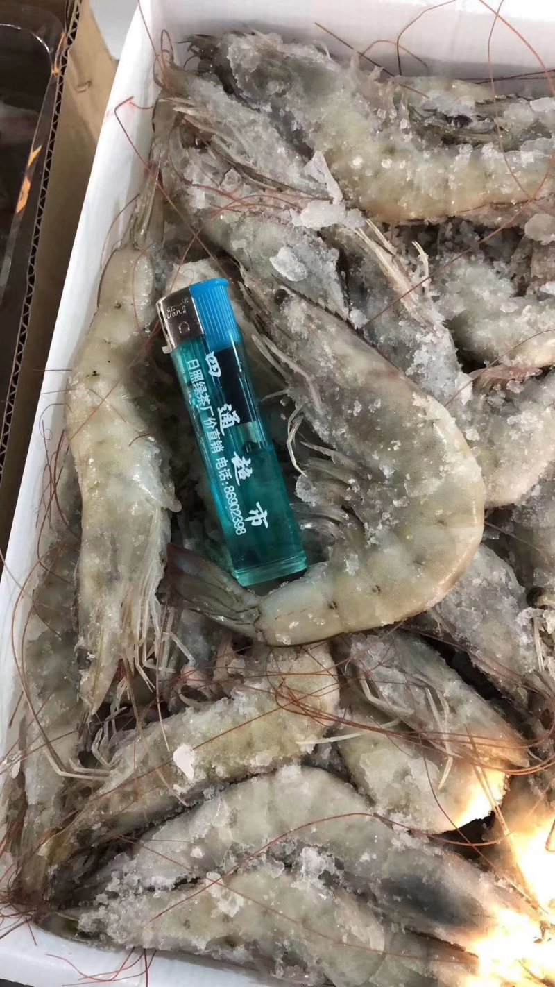 南美白对虾，盐冻虾，每件净重19.8一件6盒，