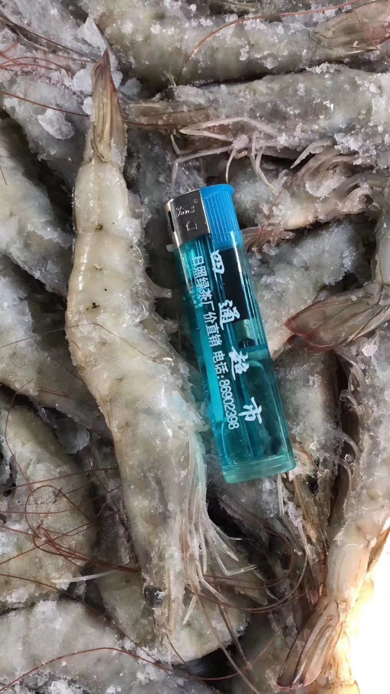 南美白对虾，盐冻虾，每件净重19.8一件6盒，