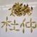 今年新采收的杜仲种子，纯新籽，货真价实，一级良种诚信商家