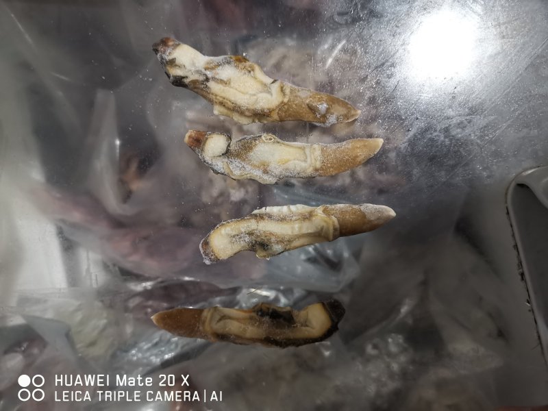 蛏王肉冷冻，新鲜现剥，现冻，无泥沙，个头发