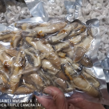 蛏王肉冷冻，新鲜现剥，现冻，无泥沙，个头发