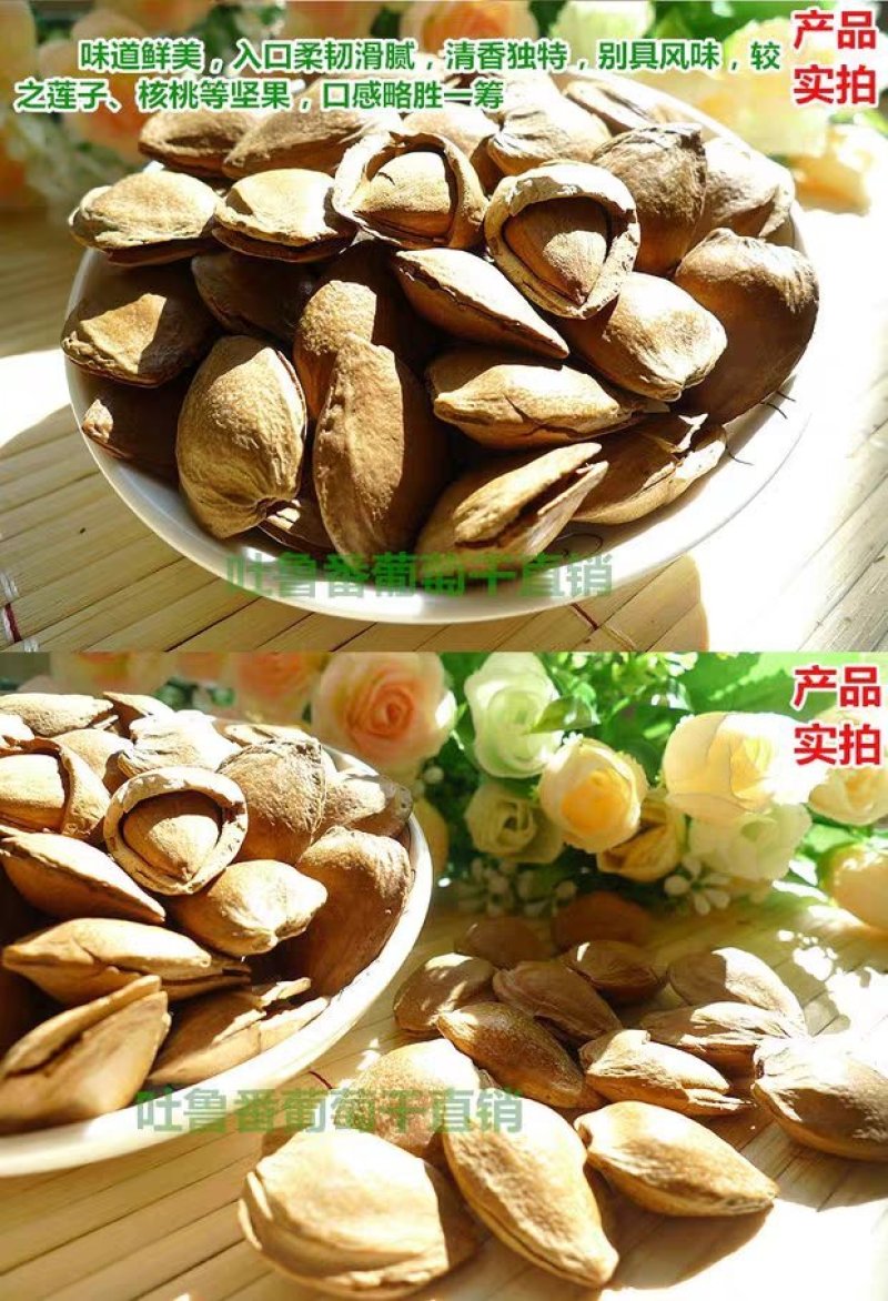 新疆特产手剥小银杏开口白硬壳500g坚果干果厂家直销包邮