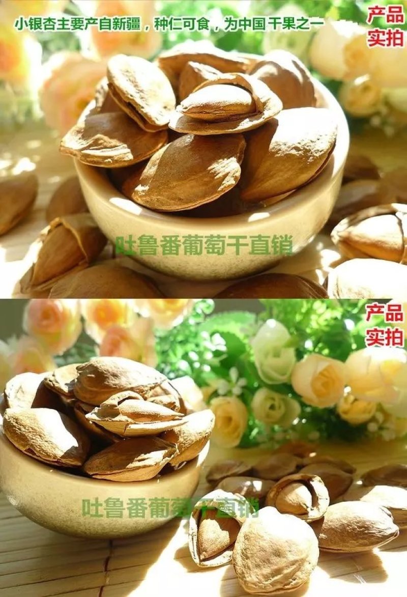 新疆特产手剥小银杏开口白硬壳500g坚果干果厂家直销包邮