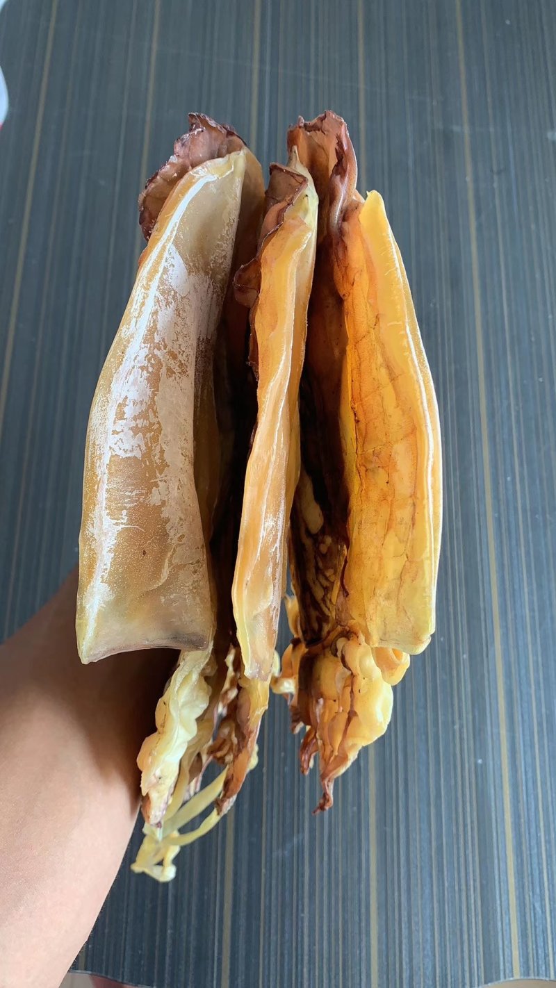 新鲜墨鱼干滋味鲜美煲汤烹饪