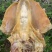新鲜墨鱼干滋味鲜美煲汤烹饪