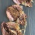 新鲜墨鱼干滋味鲜美煲汤烹饪