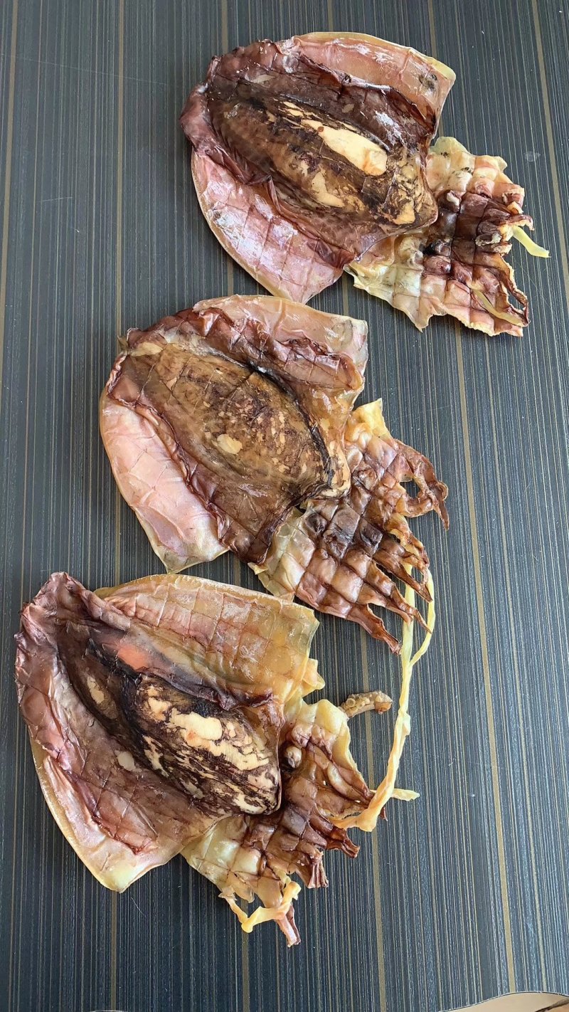 新鲜墨鱼干滋味鲜美煲汤烹饪