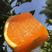 【精品】湖北九月红脐橙果园直发可视频看货品质保证物美价廉