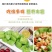 东北绿宝甜瓜绿宝石甜瓜5斤一件代发全国包邮