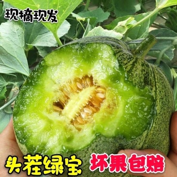 东北绿宝甜瓜绿宝石甜瓜5斤一件代发全国包邮