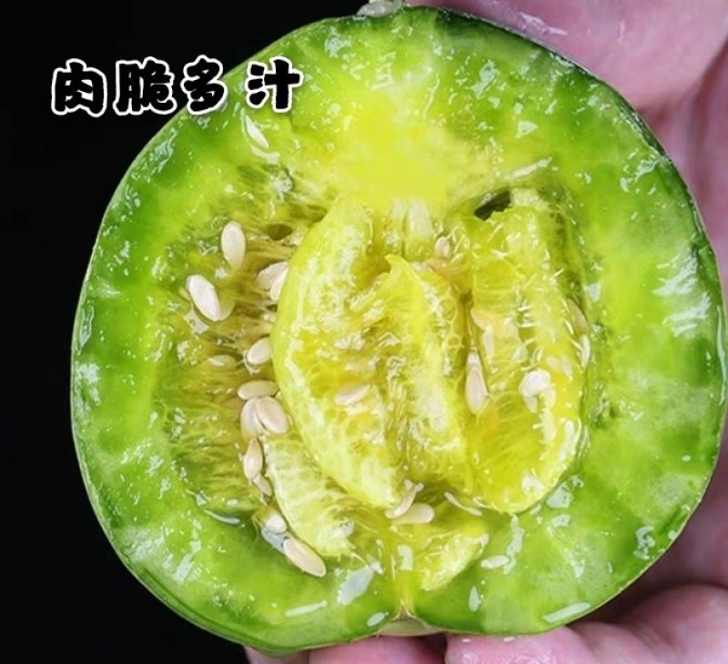 东北绿宝甜瓜绿宝石甜瓜5斤一件代发全国包邮