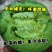 东北绿宝甜瓜绿宝石甜瓜5斤一件代发全国包邮