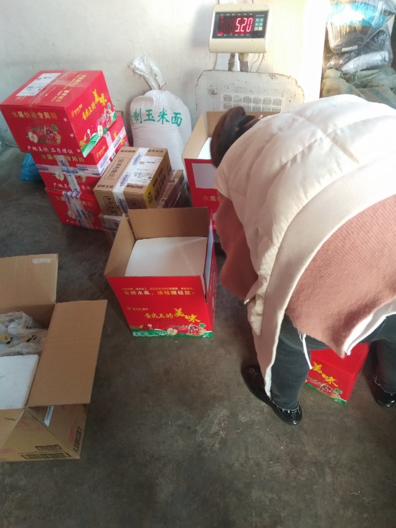 纸加膜黄金高原冰糖心苹果，一件代发，产地直销。
