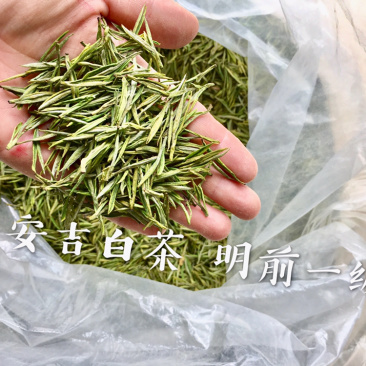 原产地安吉白茶明前一级500克自封袋简包茶场直供